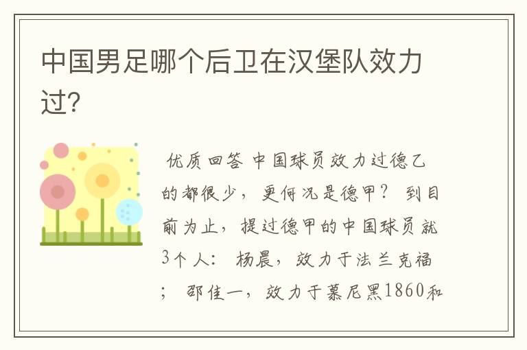 中国男足哪个后卫在汉堡队效力过?