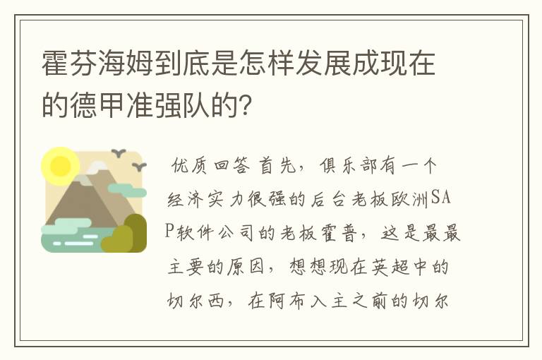 霍芬海姆到底是怎样发展成现在的德甲准强队的?