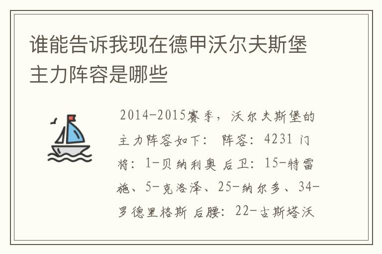 谁能告诉我现在德甲沃尔夫斯堡主力阵容是哪些