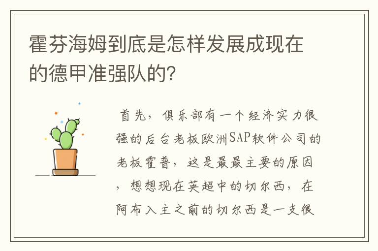 霍芬海姆到底是怎样发展成现在的德甲准强队的?