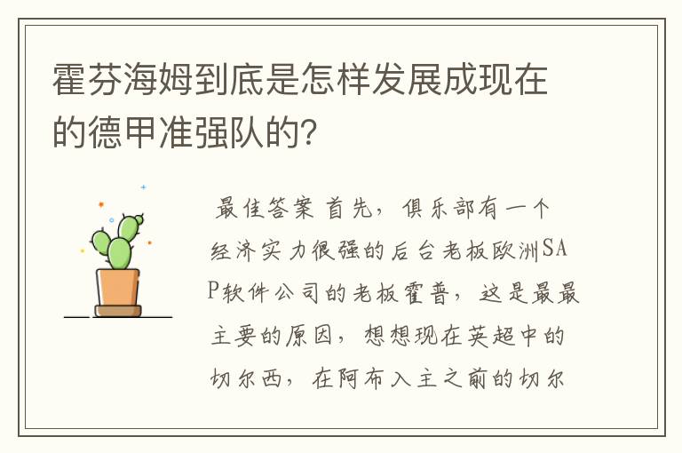 霍芬海姆到底是怎样发展成现在的德甲准强队的?
