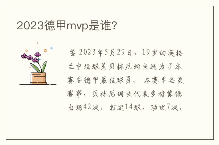 2023德甲mvp是谁?