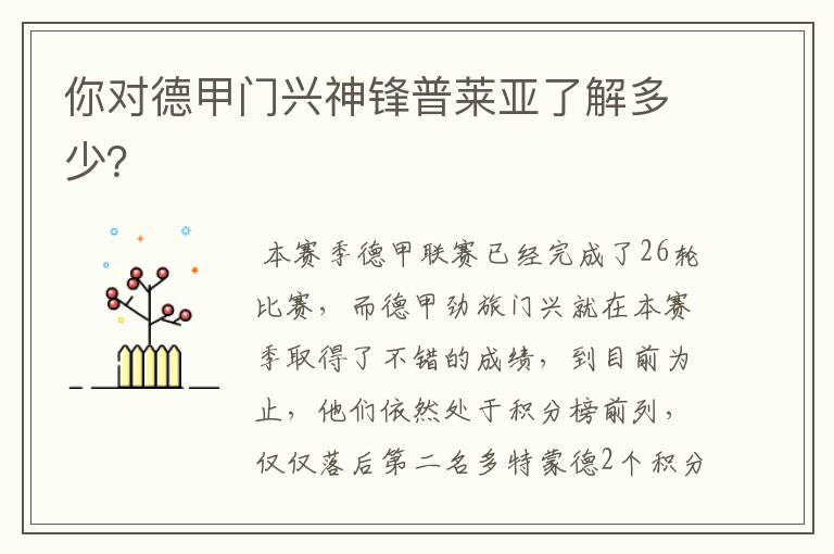 你对德甲门兴神锋普莱亚了解多少?