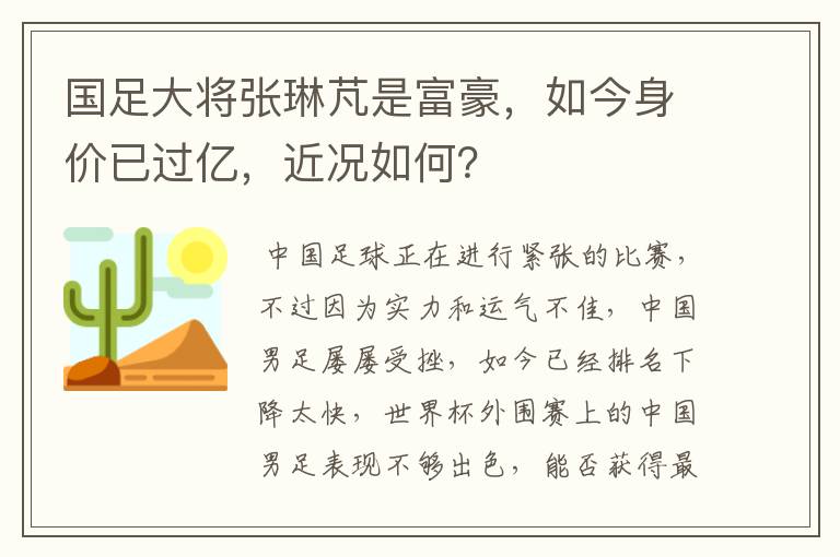 国足大将张琳芃是富豪,如今身价已过亿,近况如何?