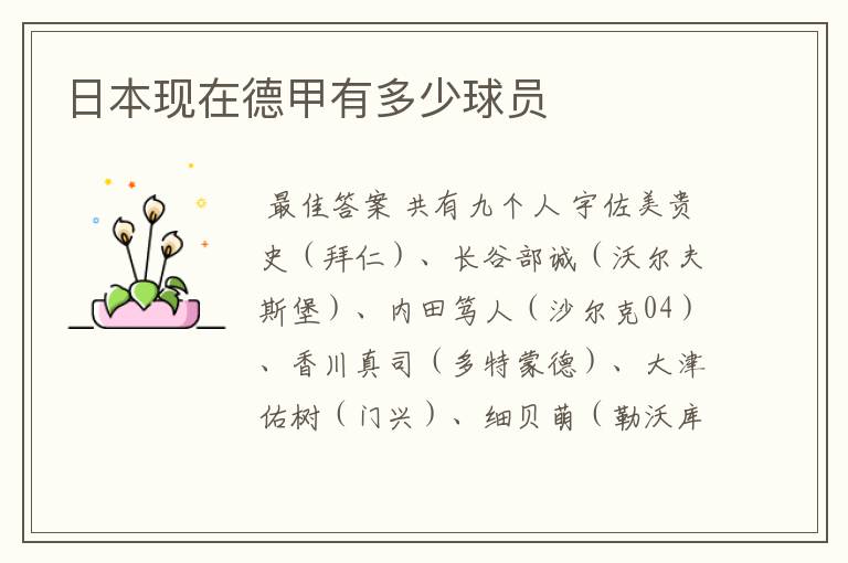 日本现在德甲有多少球员