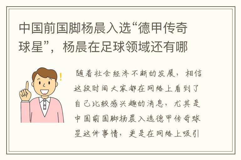 中国前国脚杨晨入选“德甲传奇球星”,杨晨在足球领域还有哪些成就?