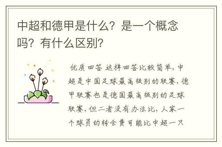 中超和德甲是什么?是一个概念吗?有什么区别?