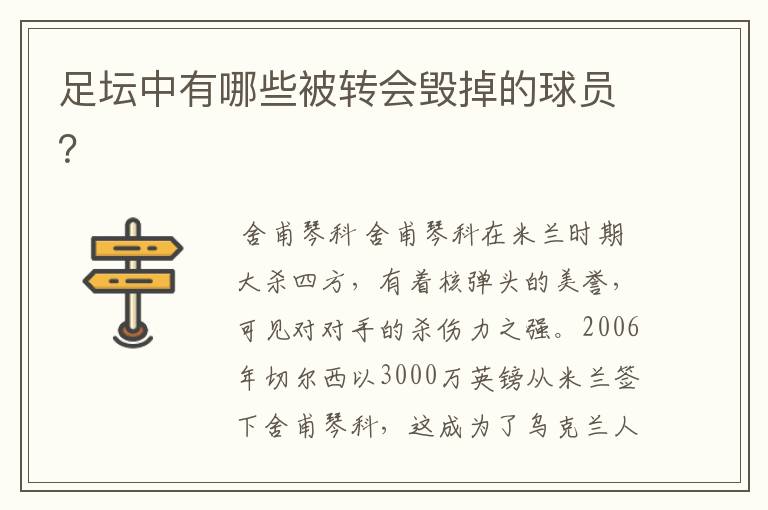 足坛中有哪些被转会毁掉的球员?
