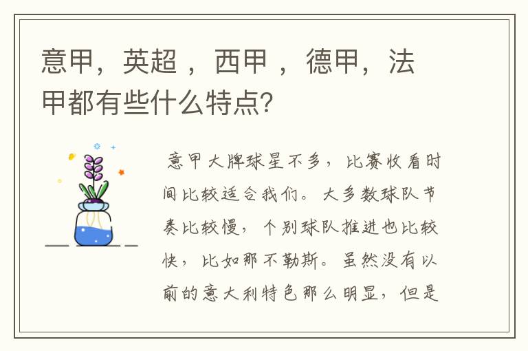 意甲,英超 ,西甲 ,德甲,法甲都有些什么特点?