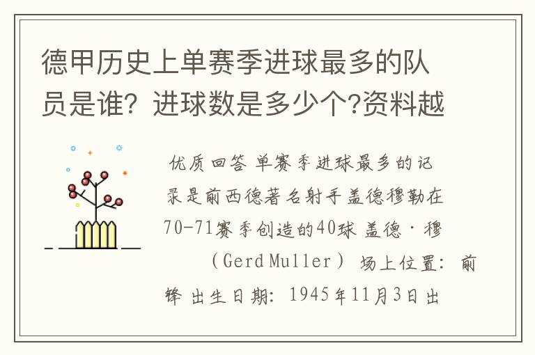 德甲历史上单赛季进球最多的队员是谁?进球数是多少个?资料越详细越好!