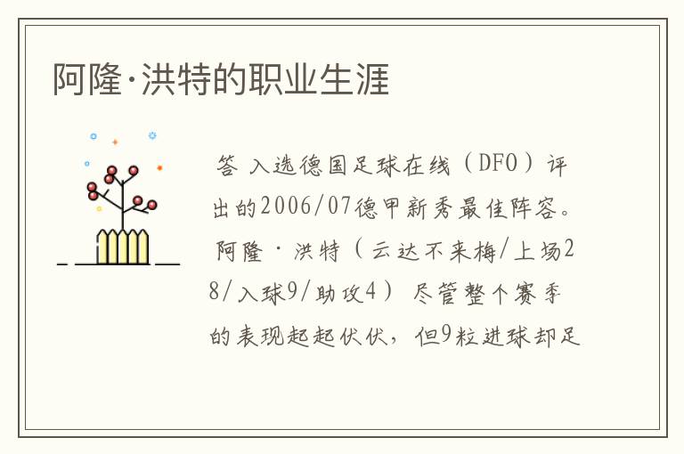阿隆·洪特的职业生涯