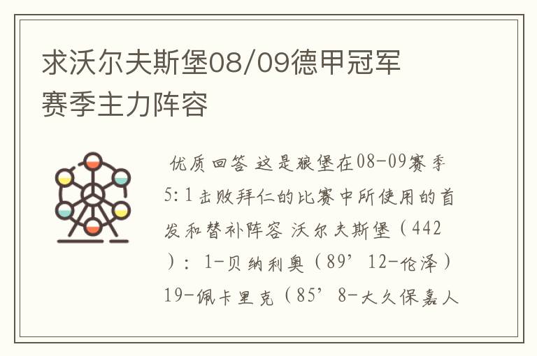求沃尔夫斯堡08/09德甲冠军赛季主力阵容