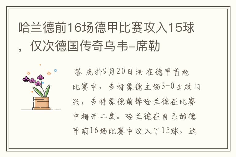 哈兰德前16场德甲比赛攻入15球,仅次德国传奇乌韦-席勒