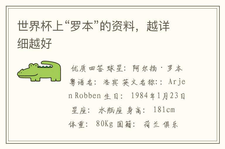 世界杯上“罗本”的资料,越详细越好