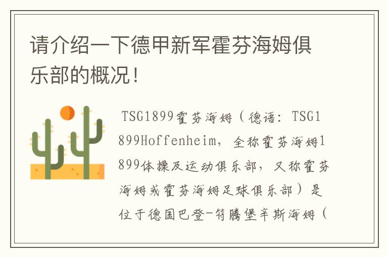 请介绍一下德甲新军霍芬海姆俱乐部的概况!