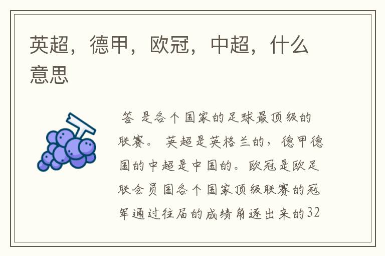 英超,德甲,欧冠,中超,什么意思