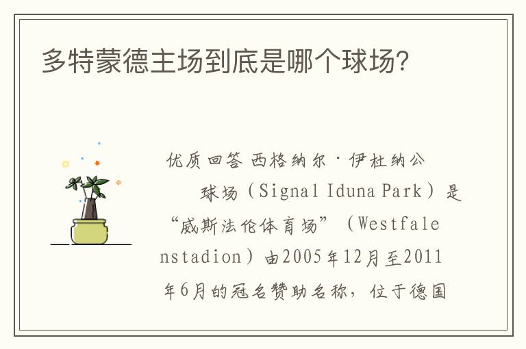 多特蒙德主场到底是哪个球场?