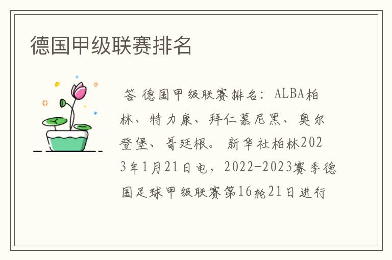 德国甲级联赛排名