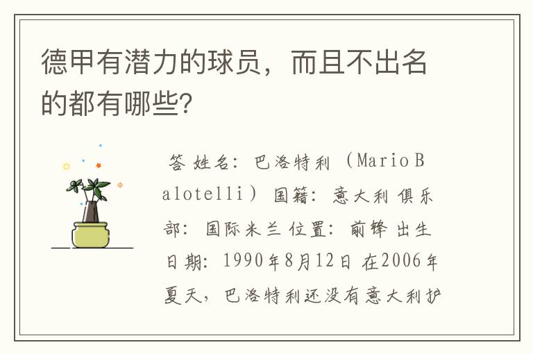 德甲有潜力的球员,而且不出名的都有哪些?