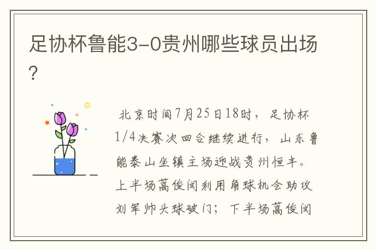 足协杯鲁能3-0贵州哪些球员出场?