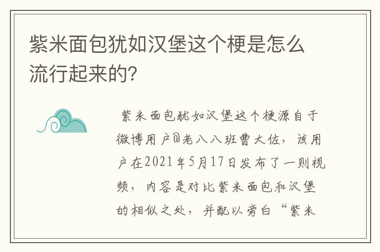 紫米面包犹如汉堡这个梗是怎么流行起来的?