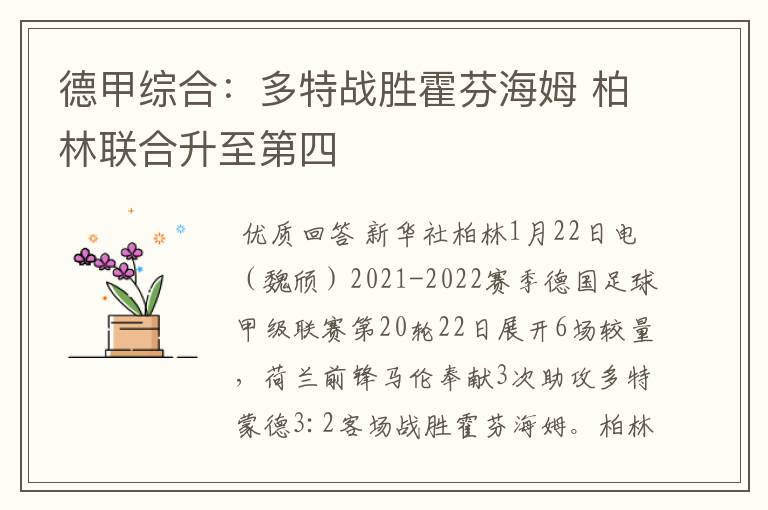 德甲综合:多特战胜霍芬海姆 柏林联合升至第四