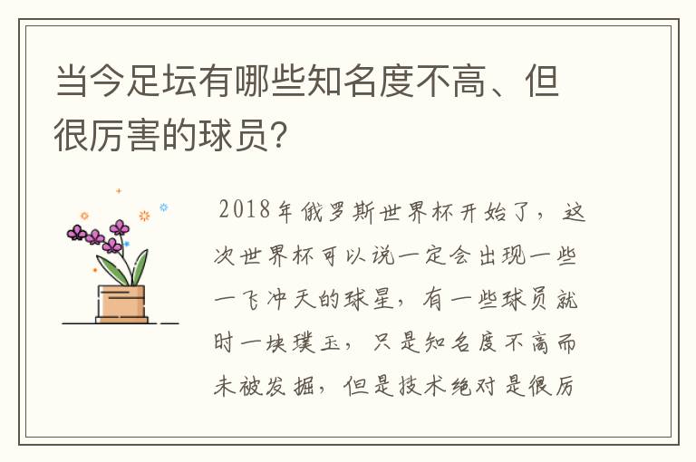 当今足坛有哪些知名度不高、但很厉害的球员?