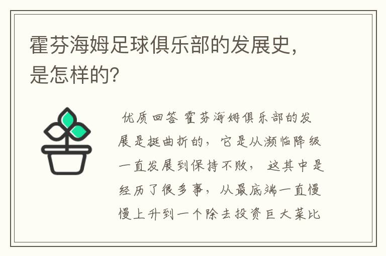霍芬海姆足球俱乐部的发展史,是怎样的?
