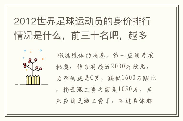 2012世界足球运动员的身价排行情况是什么,前三十名吧,越多越好哦~~