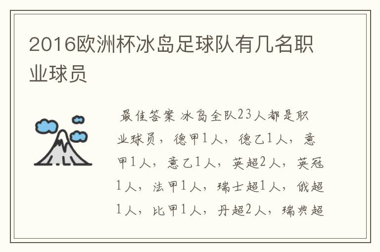 2016欧洲杯冰岛足球队有几名职业球员