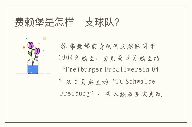 费赖堡是怎样一支球队?
