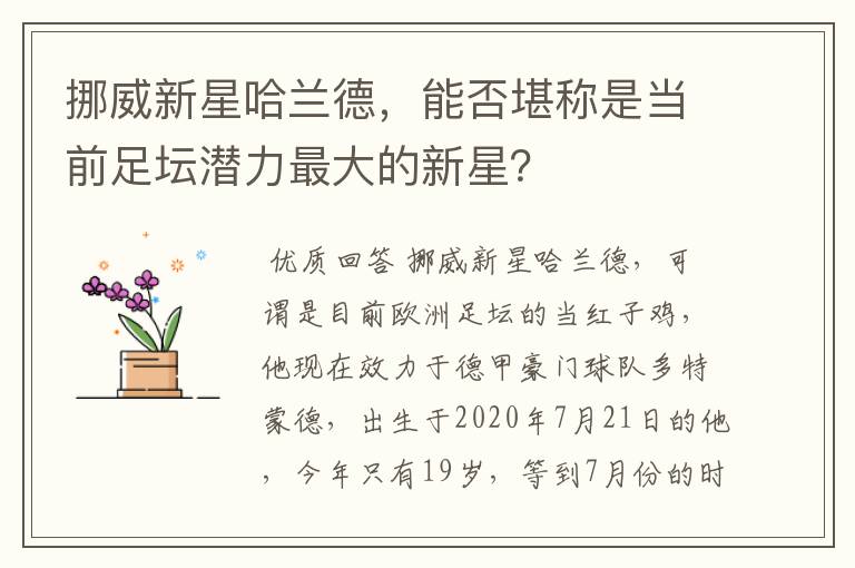 挪威新星哈兰德,能否堪称是当前足坛潜力最大的新星?
