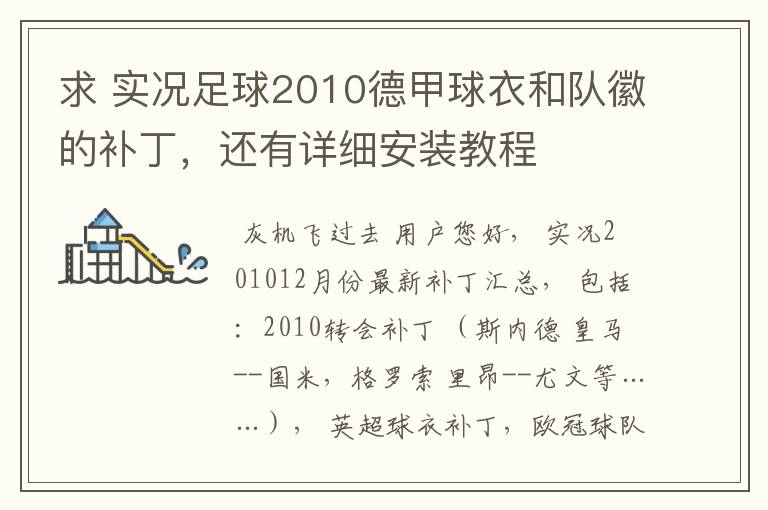 求 实况足球2010德甲球衣和队徽的补丁,还有详细安装教程