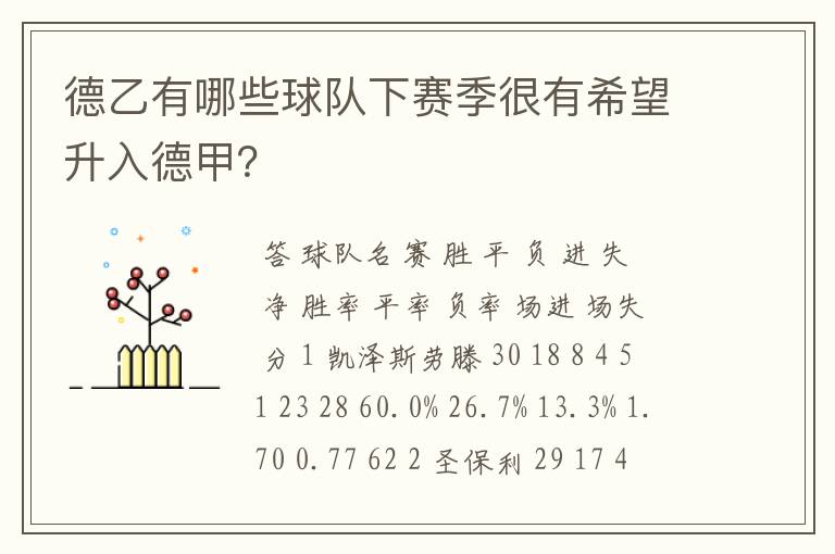 德乙有哪些球队下赛季很有希望升入德甲?