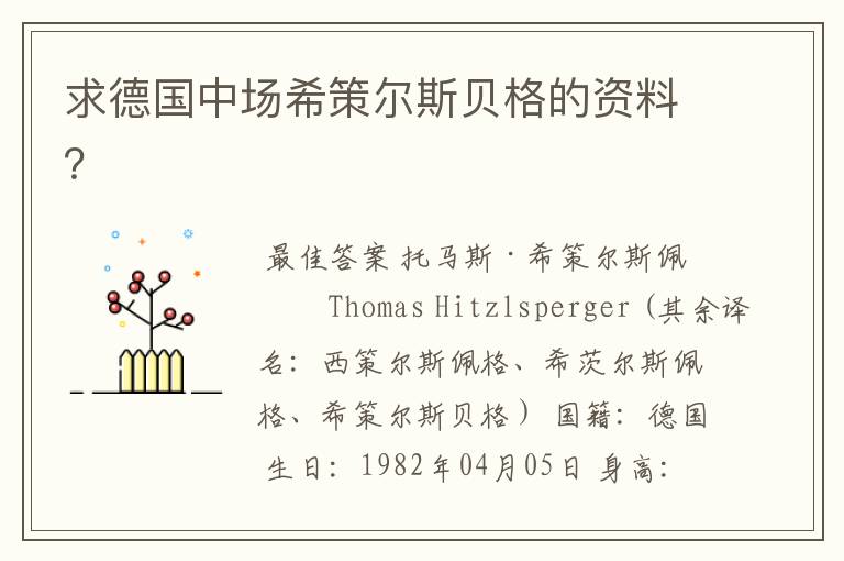 求德国中场希策尔斯贝格的资料?