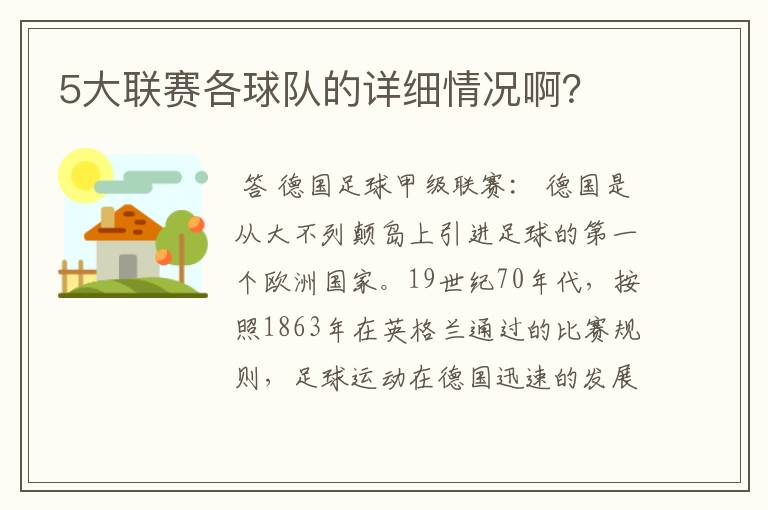 5大联赛各球队的详细情况啊?
