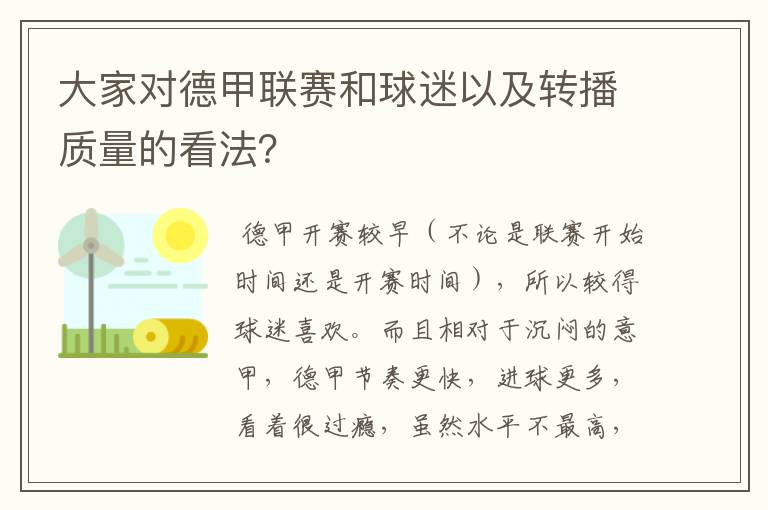 大家对德甲联赛和球迷以及转播质量的看法?