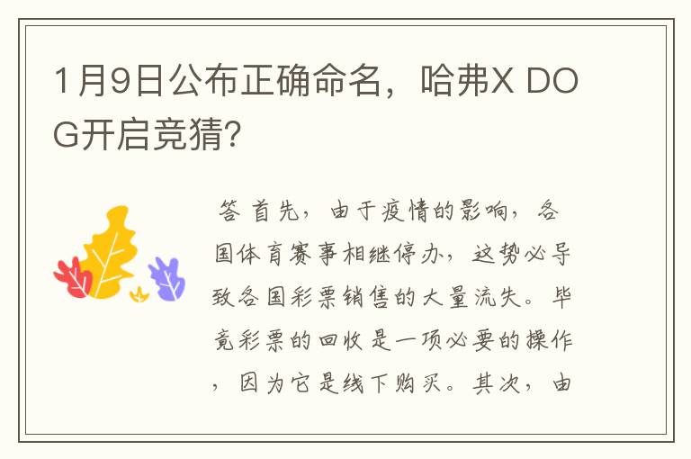1月9日公布正确命名,哈弗X DOG开启竞猜?