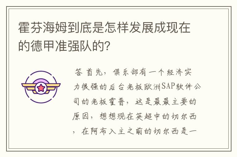 霍芬海姆到底是怎样发展成现在的德甲准强队的?