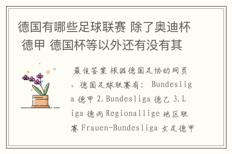 德国有哪些足球联赛 除了奥迪杯 德甲 德国杯等以外还有没有其他的?