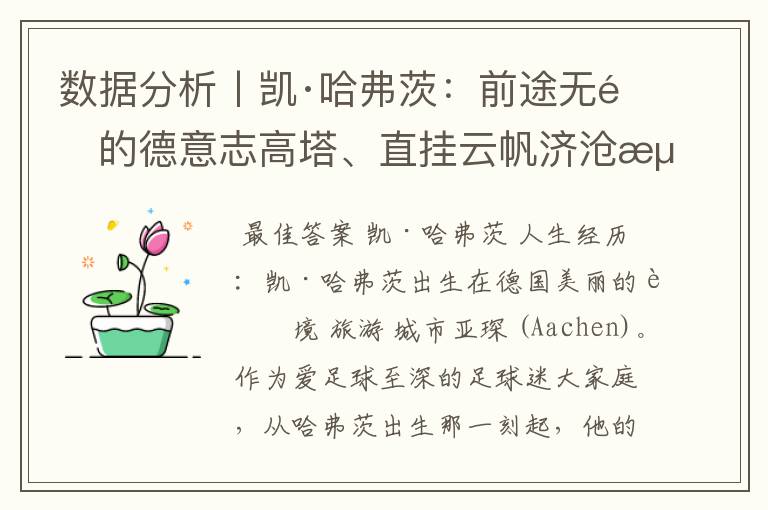 数据分析丨凯·哈弗茨:前途无量的德意志高塔、直挂云帆济沧海