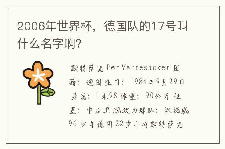2006年世界杯,德国队的17号叫什么名字啊?
