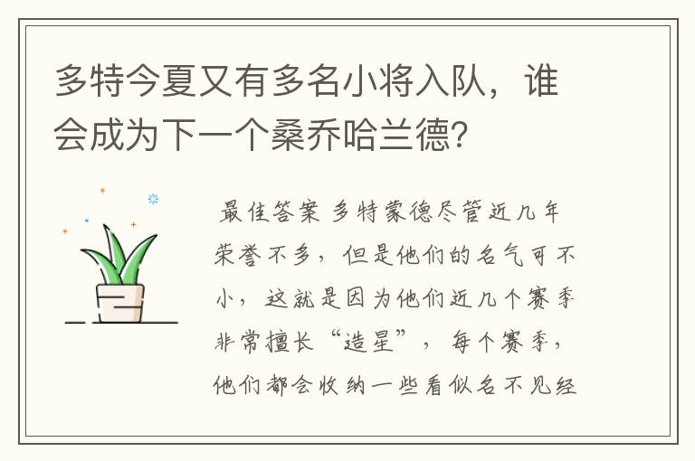 多特今夏又有多名小将入队,谁会成为下一个桑乔哈兰德?