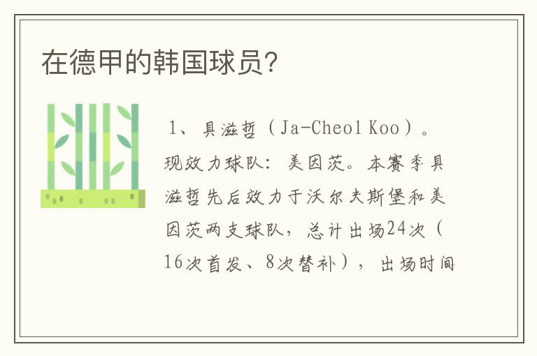 在德甲的韩国球员?