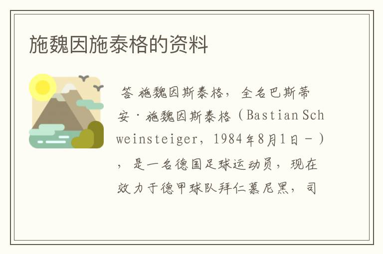 施魏因施泰格的资料
