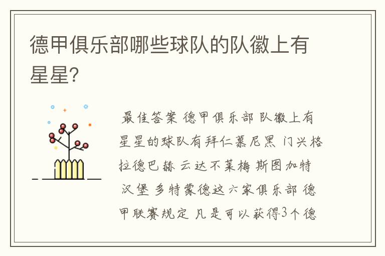 德甲俱乐部哪些球队的队徽上有星星?