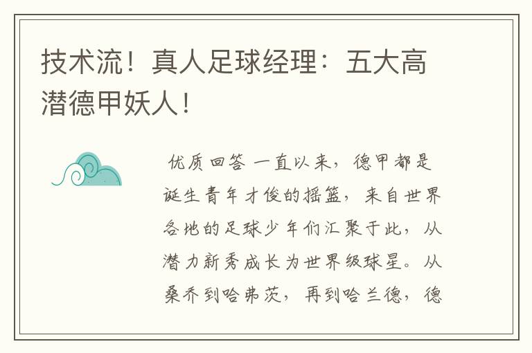 技术流!真人足球经理:五大高潜德甲妖人!
