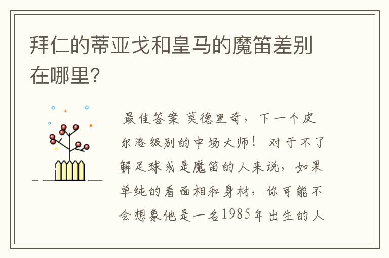 拜仁的蒂亚戈和皇马的魔笛差别在哪里?