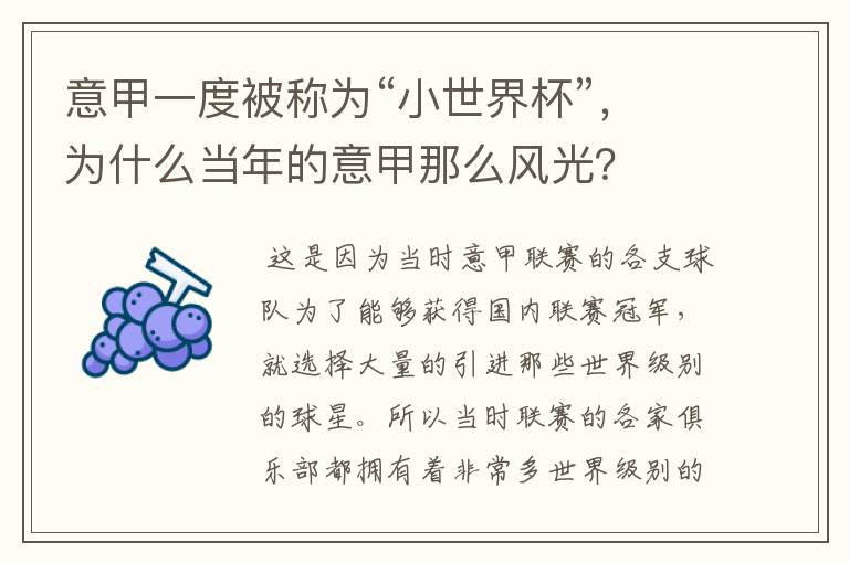 意甲一度被称为“小世界杯”,为什么当年的意甲那么风光?