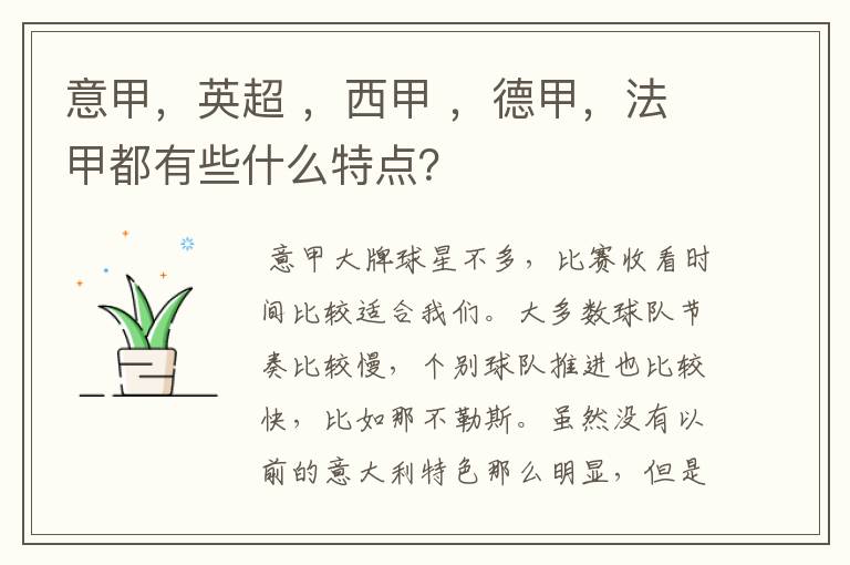 意甲,英超 ,西甲 ,德甲,法甲都有些什么特点?